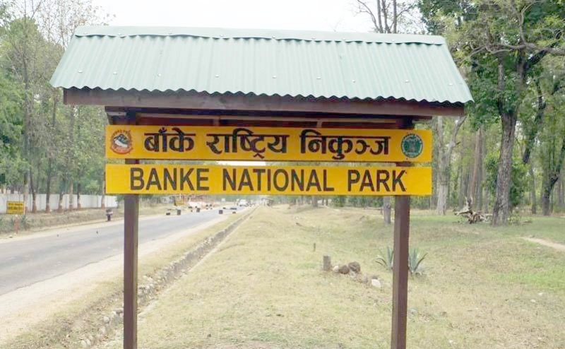 बाँके राष्ट्रिय निकुञ्जमा पर्यटकको चाप बढ्दो